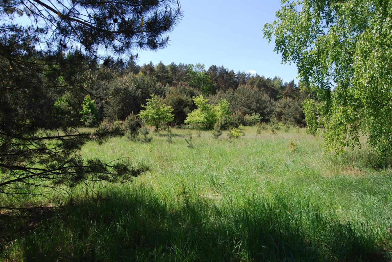 Szydlowiec Anastazewo 外观 照片