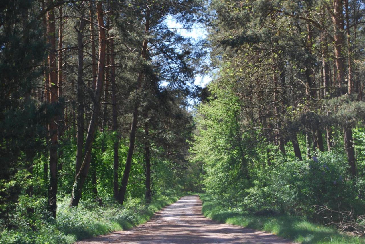Szydlowiec Anastazewo 外观 照片