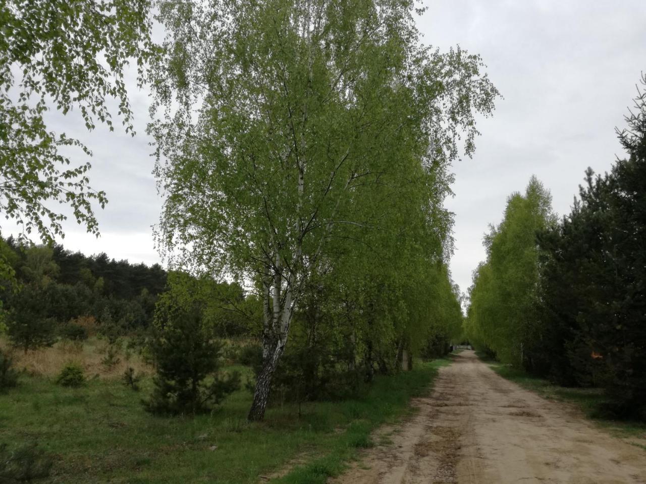 Szydlowiec Anastazewo 外观 照片